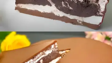 Schoko Quarktorte ohne Backen, ich bin süchtig danach