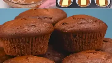 Schokomuffins mit weisser Schokoladenfuellung W2xEX 2.5x webp