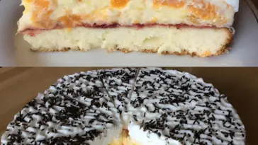 Schütteltorte mit Mandarinen