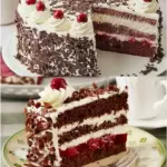 Schwarzwaelder Kirschtorte W2xEX 2.5x webp
