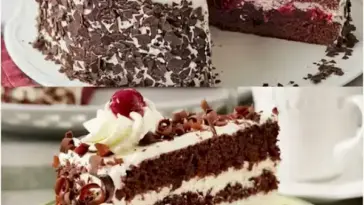 Schwarzwaelder Kirschtorte W2xEX 2.5x webp