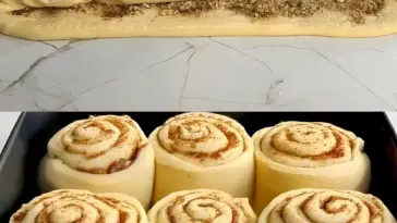 Zimt Nuss Schnecken mit 400 g Mehl in 20 Minuten zubereitet