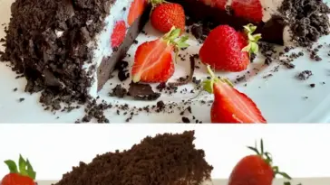 maulwurfkuchen mit erdbeeren W2xEX 2.5x webp