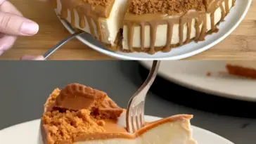 Boahh die sind der absolute Hammer – Blitz Kaesekuchen ohne Backen W2xEX 2.5x