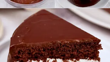 Ein Schokoladendessert zum Sterben wert W2xEX 2.5x png