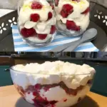 Einfach koestlich Himbeertraum nur 3 Zutaten W2xEX 2.5x