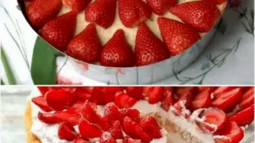 Erdbeer-Vanille-Torte mit Skyr