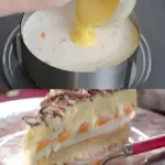 Erfrischende Calypso Torte mit 2 Dosen Mandarinen und 2 Becher Schmand W2xEX 2.5x