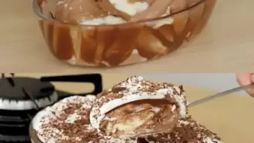 Quark-Schoko-Dessert in 20 Minuten