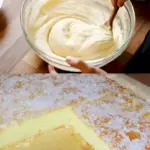 Griechischer Joghurtkuchen ohne Mehl mit 50 g Puddingpulve W2xEX 2.5x