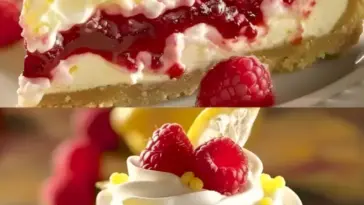 Himbeer Kaesekuchen mit Pudding und 500 g Magerquark W2xEX 2.5x