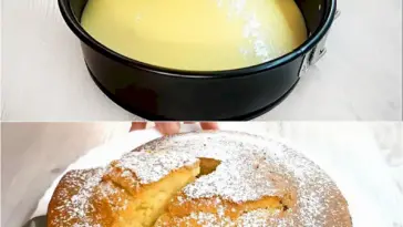 Kuchen in 1 Minute Sie werden diesen Kuchen jeden Tag backen wollen W2xEX 2.5x webp