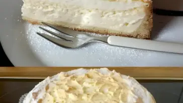 Quark Schneekuchen mit Vanillepudding W2xEX 2.5x
