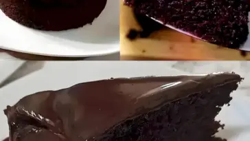 Blitz Schokokuchen in 2 bis 3 Minuten bereit für den Backofen!