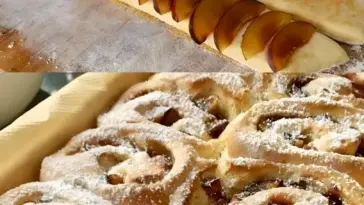 Fantastische Zwetschgenschnecken die muss man probiert haben W2xEX 2.5x Q99