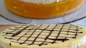 Multivitamin Torte W2xEX 2.5x Q99