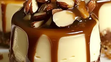 No Bake Schokoladen Turtle Mini Kaesekuchen Ein Einfaches Dekadentes Dessert