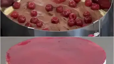Rotkaeppchen Torte W2xEX 2.5x webp
