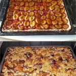 Saftiger Pflaumenkuchen vom Blech mit Streuseln und 2 kg Pflaumen W2xEX 2.5x Q99