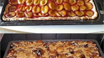 Saftiger Pflaumenkuchen vom Blech mit Streuseln und 2 kg Pflaumen W2xEX 2.5x Q99