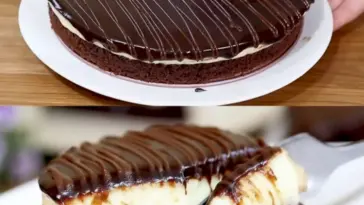 Schokokuchen mit Vanillepudding es Schmilzt im Mund W2xEX 2.5x