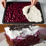 Schwarzwaelder Pudding Blechkuchen mit 2 Glaeser Sauerkirschen