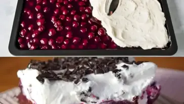 Schwarzwaelder Pudding Blechkuchen mit 2 Glaeser Sauerkirschen