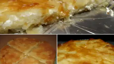 Sirnica Teigblaetter gefuellt mit Kaese