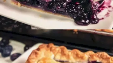 Sommerzeit Blaubeertraum Blechkuchen W2xEX 2.5x