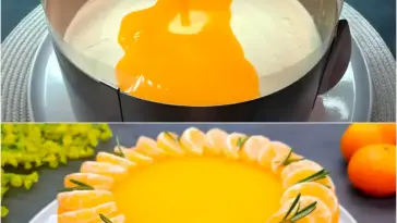 Ultimative Mandarinen – Frischkaesetorte