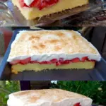 Fantakuchen mit frischen Erdbeeren in nur 30 Minuten gebacken