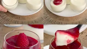 Schnelle Vanille Panna Cotta mit Himbeer Coulis