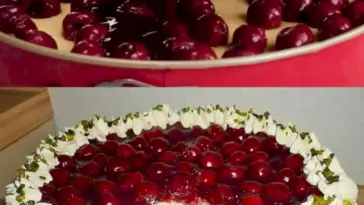 Unwiderstehlich cremiger Kaesekuchen mit Kirschen