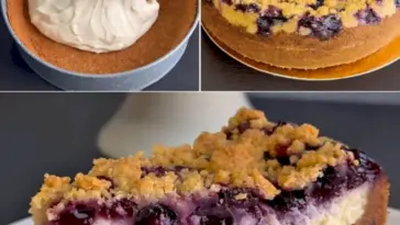Zerbroeckelter Blaubeer Kaesekuchen ein wirklich koestliches Dessert zum Probieren W2xEX 2.5x
