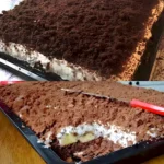 Maulwurf Blechkuchen Blitzrezept: Einfach & Lecker 3 Maulwurf Blechkuchen Blitzrezept Einfach Lecker