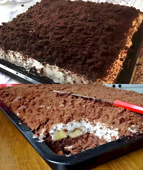 Maulwurf Blechkuchen Blitzrezept: Einfach & Lecker 1 Maulwurf Blechkuchen Blitzrezept: Einfach & Lecker