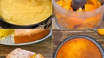 Saftiger Mandarinenkuchen Einfach Selbst Gemacht