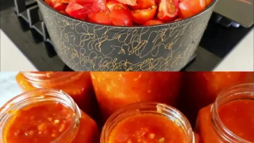 Aromatische Tomatensose fur den Vorrat einkochen