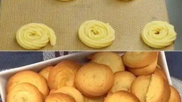 Cremiger Kasekuchen Einfach und Schnell Gebacken