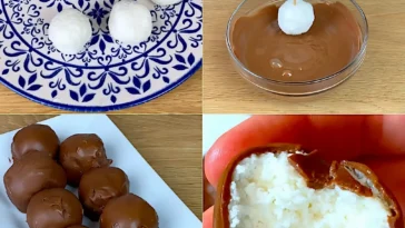 Griechische Joghurt Truffel Einfach Selbst Gemacht