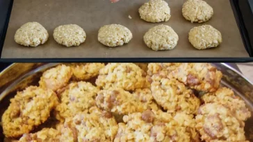 Knusprige Haferflocken Platzchen einfach selbst backen