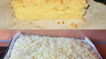 Luftiger Wattekuchen mit Vanillepudding und Kokos