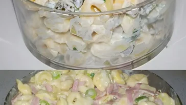 Schneller Tortellinisalat mit Schinken Kase und Ananas