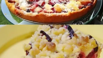 Schneller Zwetschgenkuchen mit Streuseln und Pudding