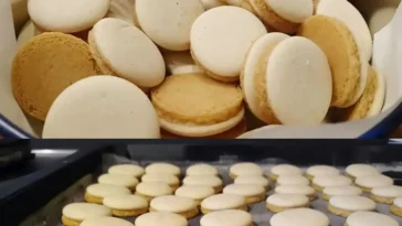Zarte Anisplatzchen nach Konditorart einfach selbst backen