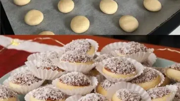 Zarte Weihnachts Taler mit Schokolade und Kokosraspeln