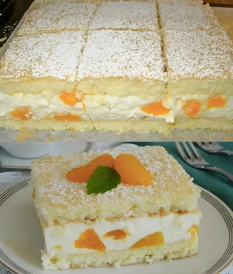 Einfaches Mandarinen Quark Dessert mit Schlagsahne und Keksen 5 Einfaches Mandarinen Quark Dessert mit Schlagsahne und Keksen auf einem Teller