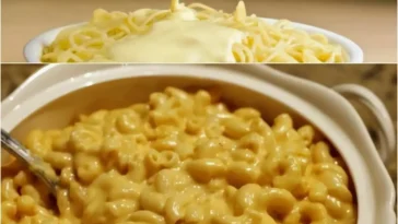 Hausgemachte Käsesauce für Nudeln in einer schönen Schüssel serviert