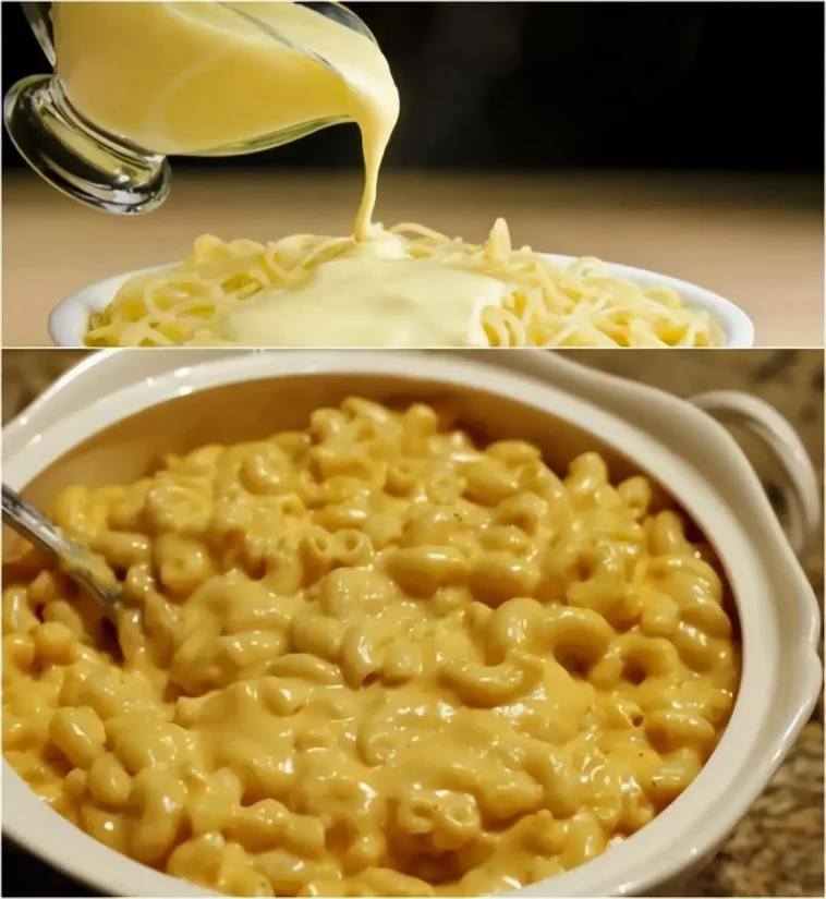 Hausgemachte Käsesauce für Nudeln 4 Hausgemachte Käsesauce für Nudeln in einer schönen Schüssel serviert