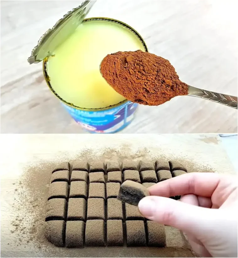 Köstlich zum Tee: Gezuckerte Kondensmilch mit Kakao 4 Köstliche gezuckerte Kondensmilch mit Kakao für Tee und Desserts